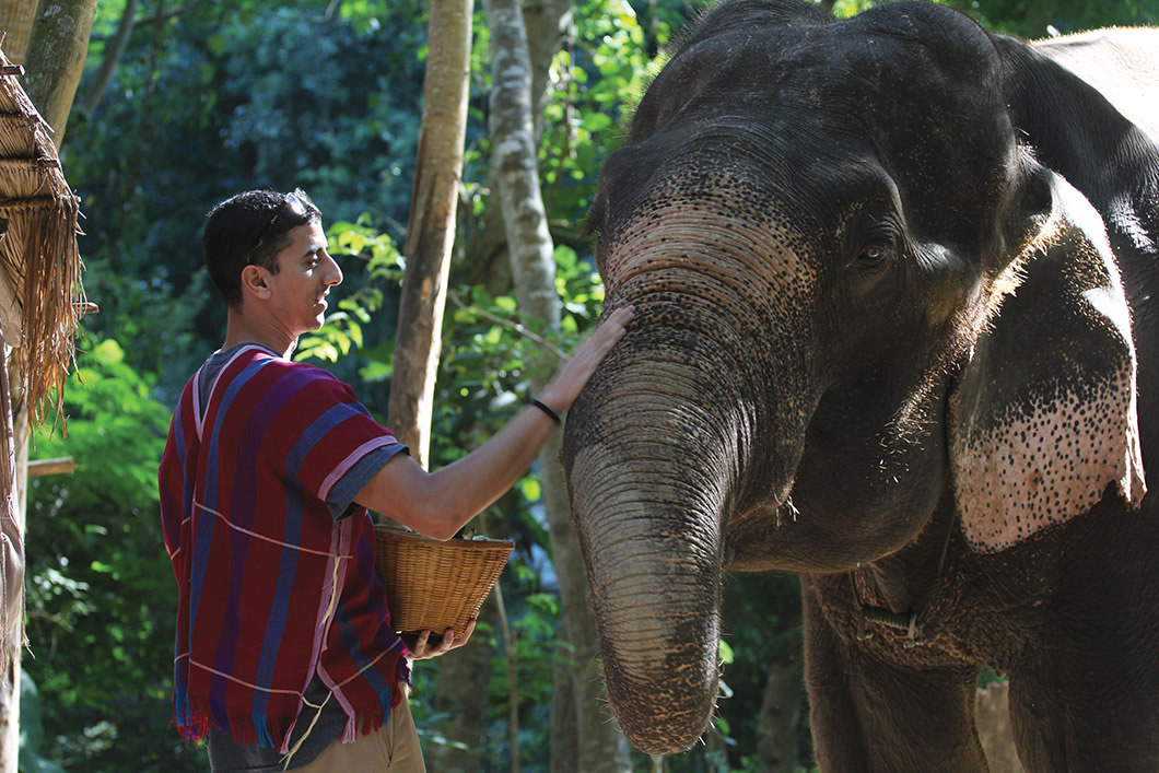 Savant feeding an elephant.