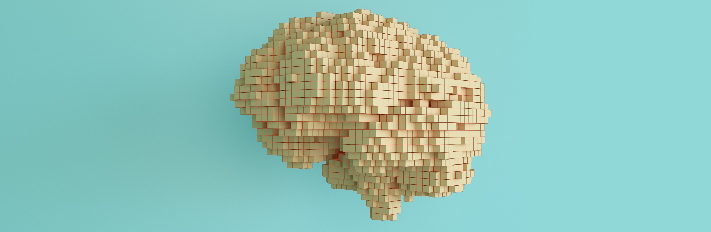 Rendition of human brain made of small cubes