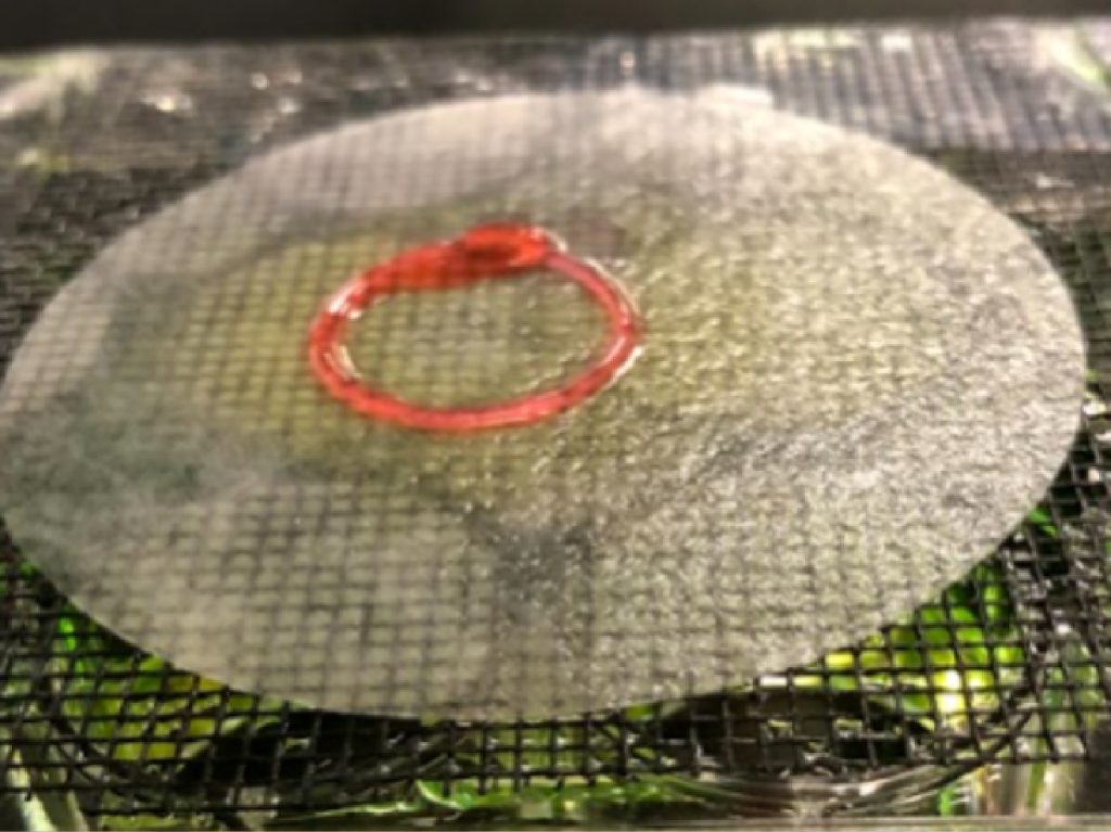 A print of an alginate ring.