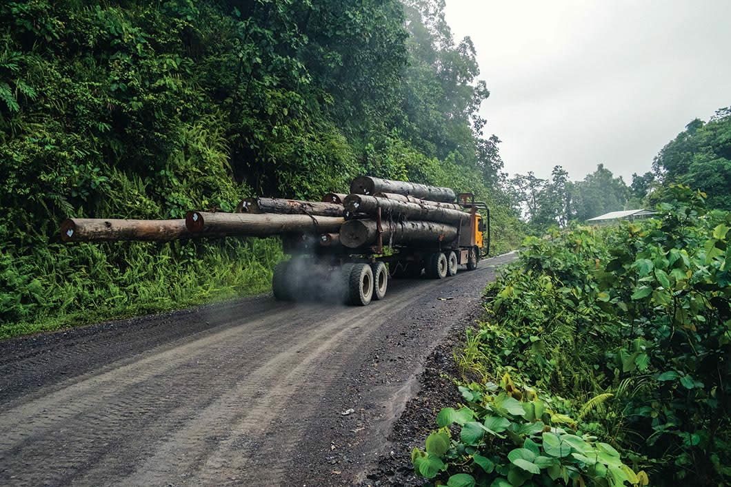 A logging truck drives on road through forest.