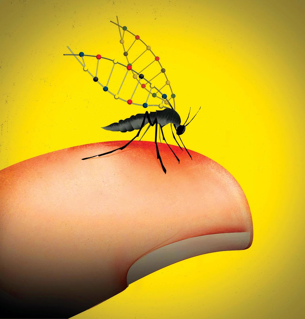 Illustration of mosquito on finger