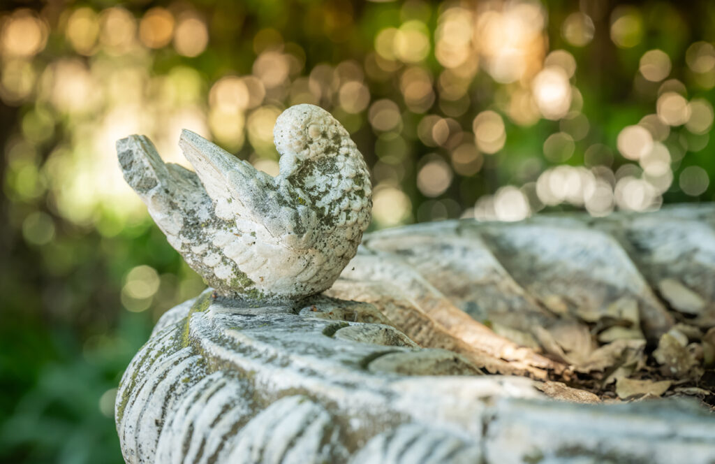 Close up for carved stone bird on edge of stone bird bath