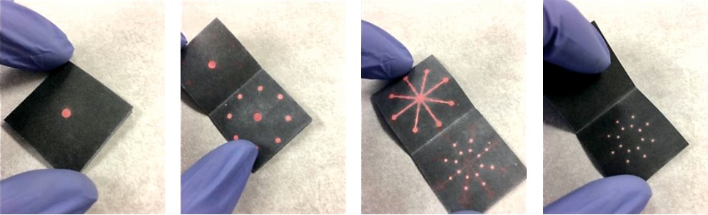 Four panels showing paper testing device with dots that detect pathogens.